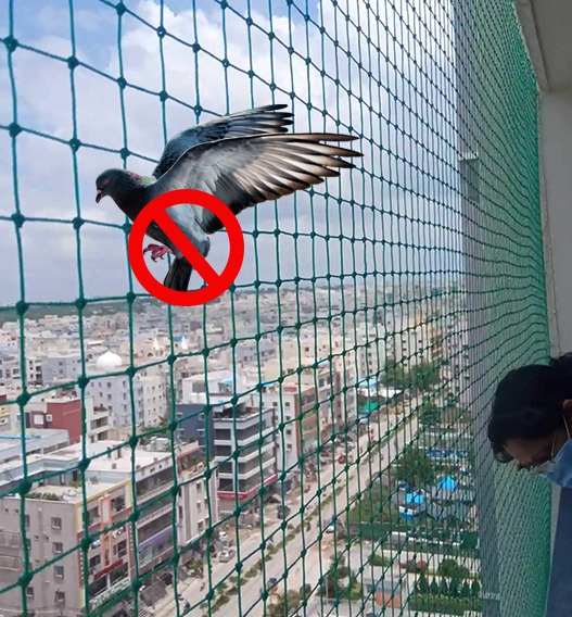 Pigeon Mesh