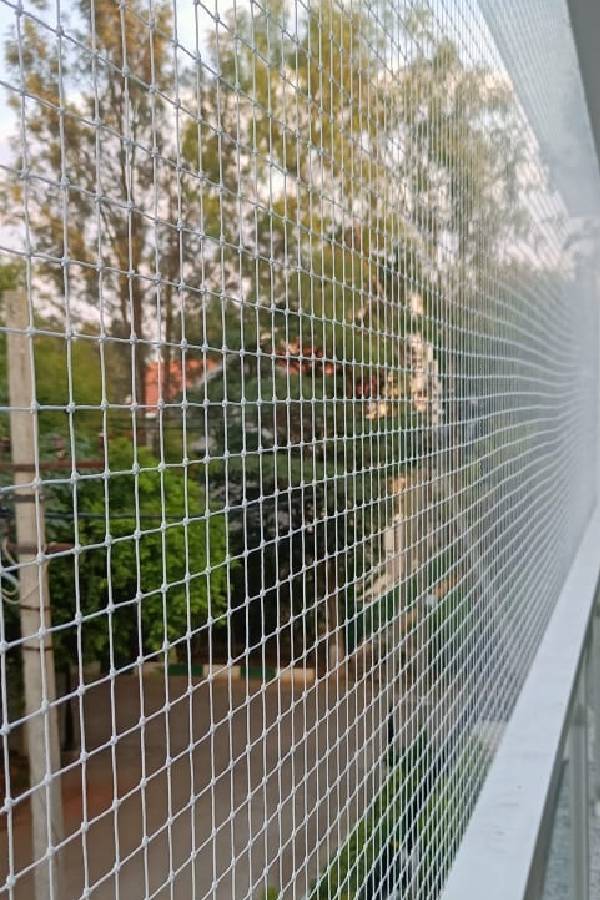Bird Nets Near Me