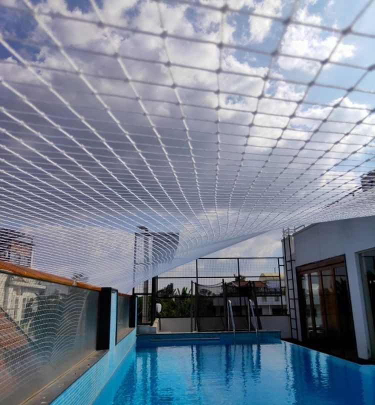 swimmming pool safety nets