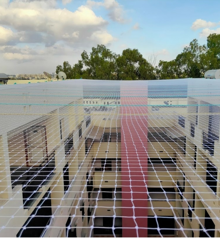 Terrace top nets