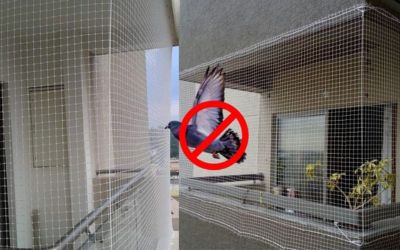 Anti Bird Nets