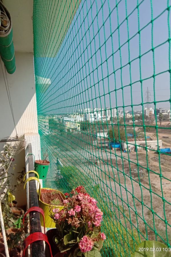 Pigeon Nets