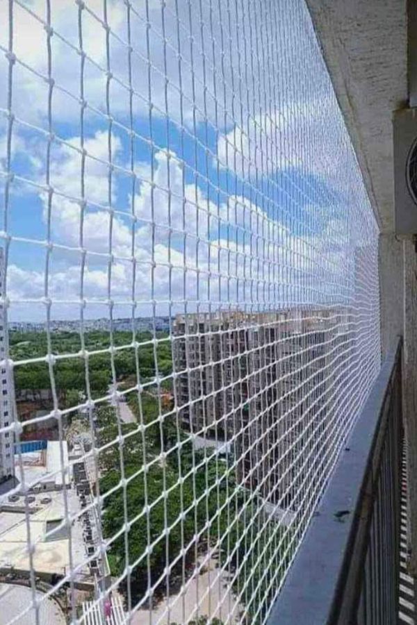 Pigeon safety nets