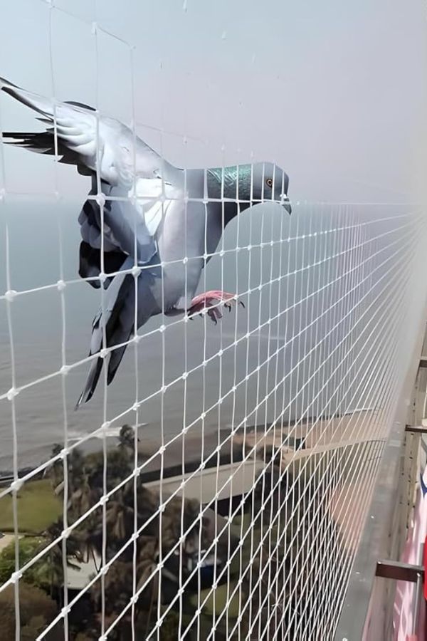 Bird Nets In Bangalore