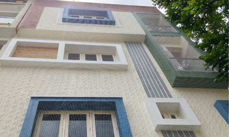building pigeon nets near me