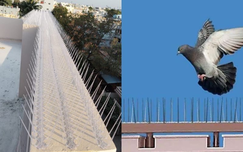 Bird Spikes Bird Spikes