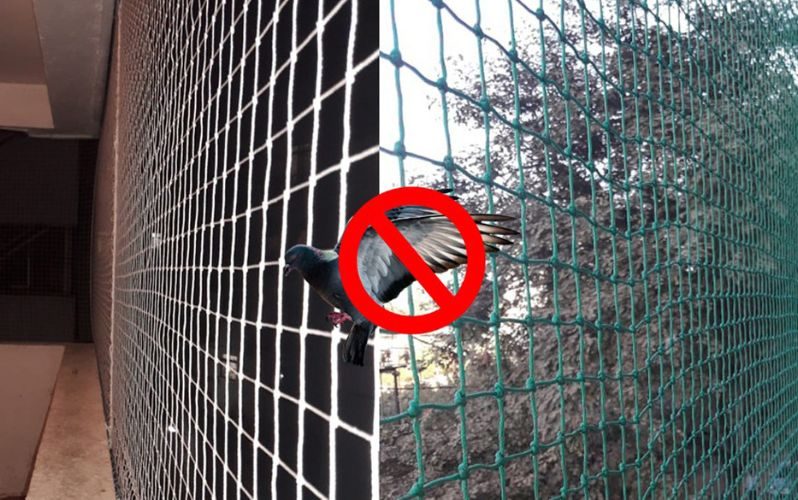 Pigeon Net Installation In Bangalore