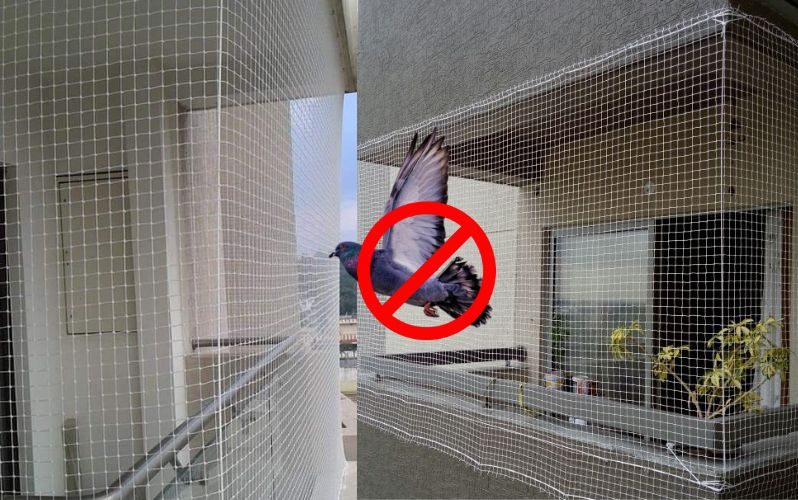Pigeon Safety Nets For Balcony Pigeon Safety Nets For Balcony
