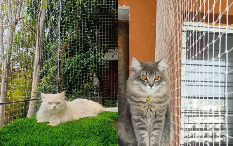 Pets safety nets in bangalore Cat Safety Nets