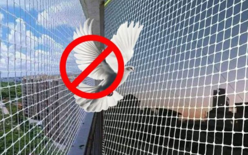 Pigeon Safety Nets In Bangalore